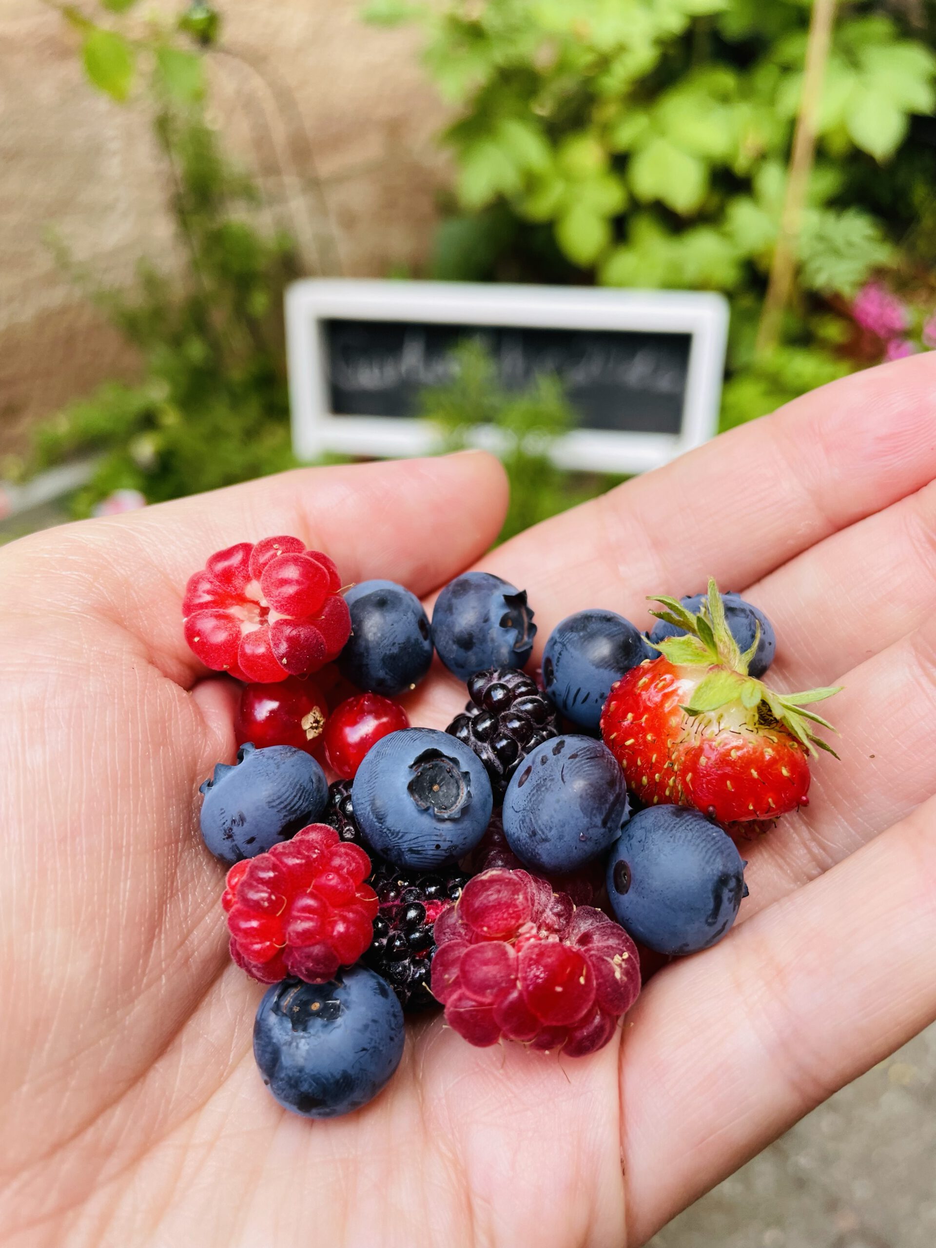 Cold Brew mit Beeren – Der Very Berry