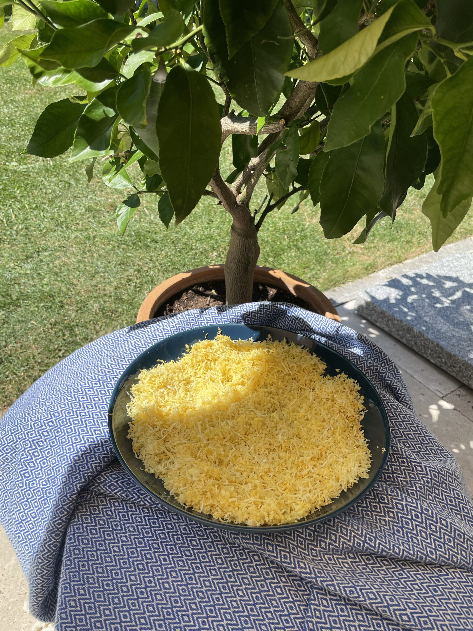 Abgeriebene Zitronenschalen trocknen in einer Schüssel in der Sonne