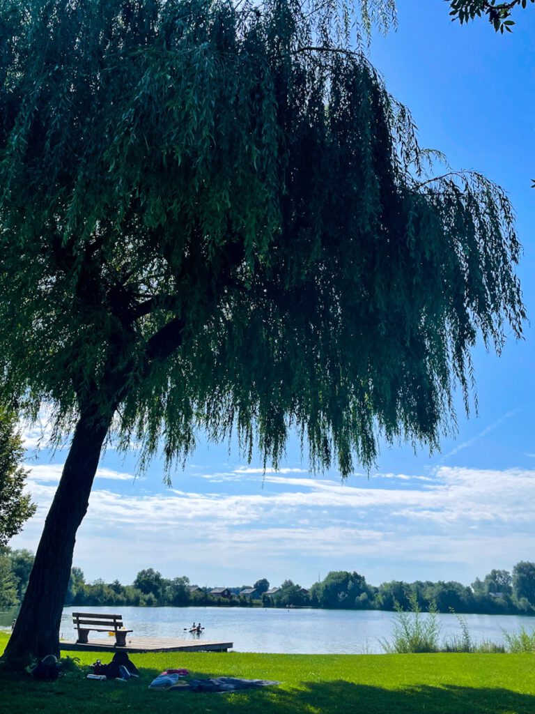 Blick auf einen See an einem Baum vorbei.