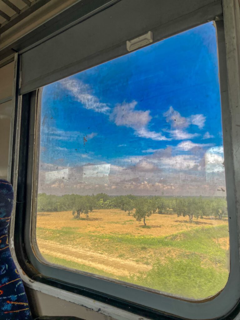 Blick aus dem Zug in die Landschaft.