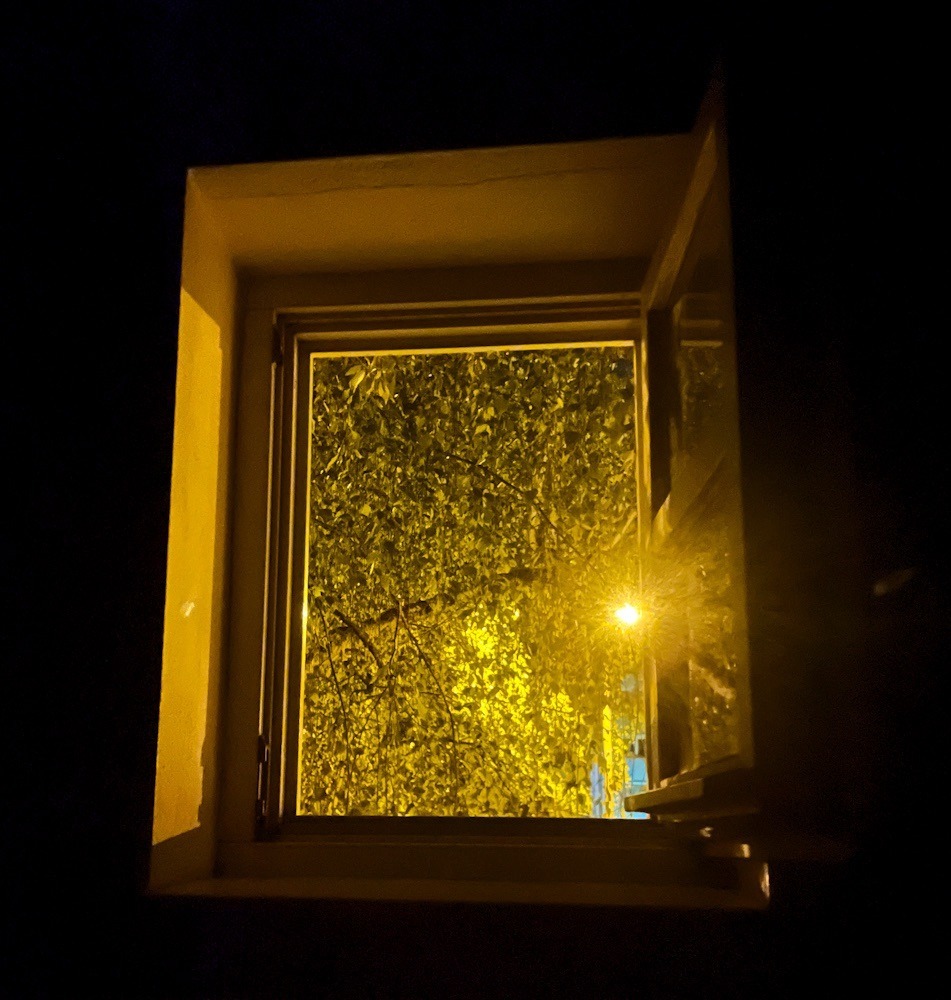 Blick am Abend aus dem Fenster.