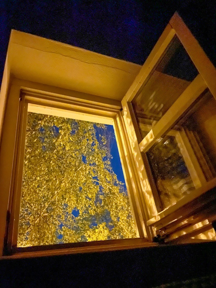 Abendlicher Blick aus Fenster.