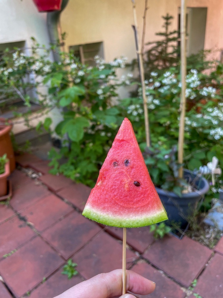 Ein Stück Melone auf einem Spieß.