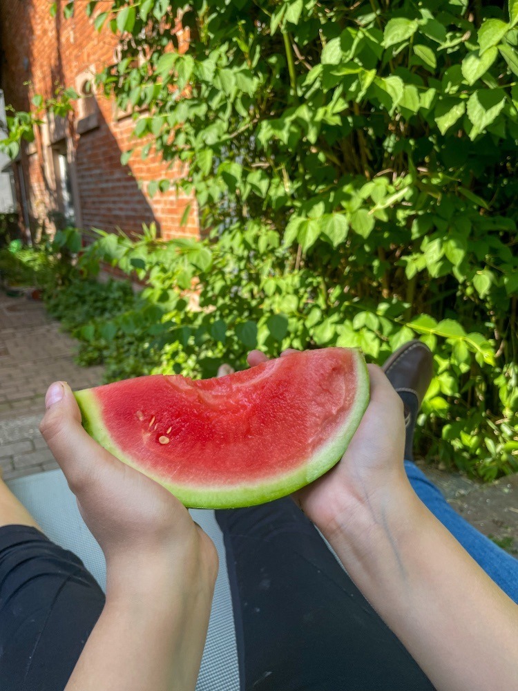 Ein viertel Melone in den Händen eines Kindes.