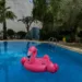 Schwimmflamingo in Pool