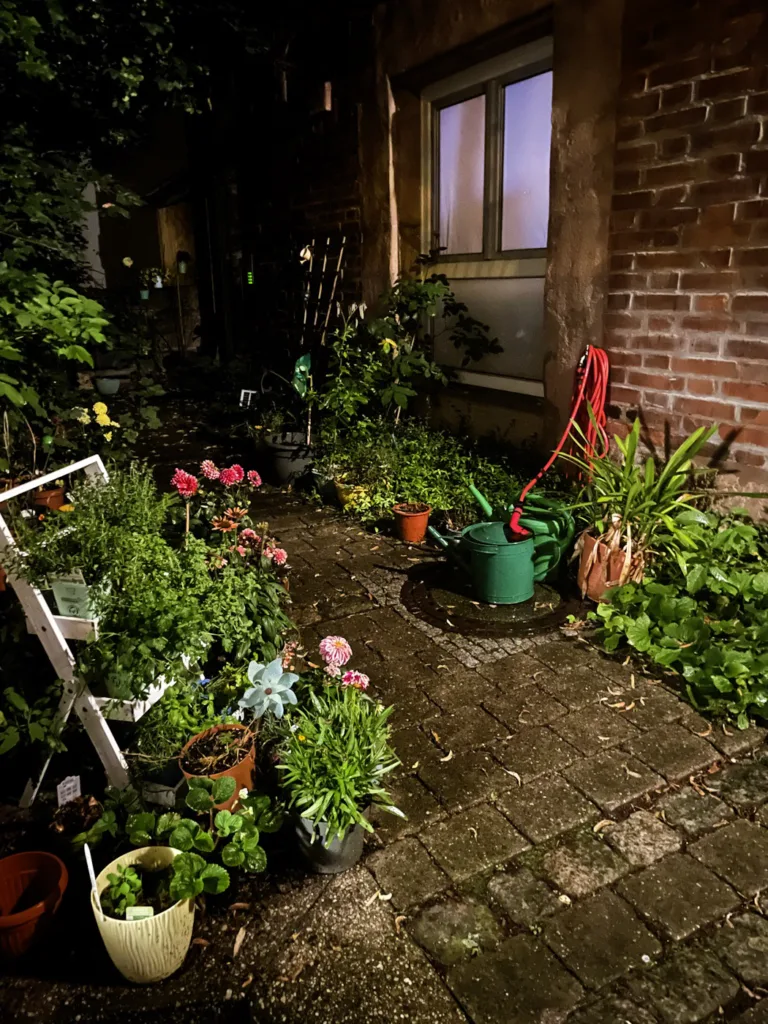 Nächtlicher Garten