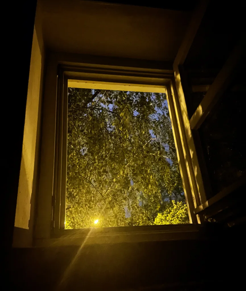 Fenster bei Nacht.